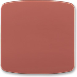 Kryt vypínače jednoduchý...