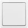 CL_bila_spinac.webp