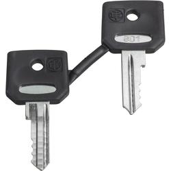 Schneider Electric ZBG455P Sada Ochranná krytka + náhradní klíče ( obsahuje 2 ks )