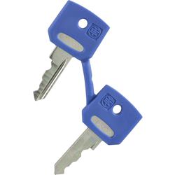 Schneider Electric ZBGF046 Náhradní klíč