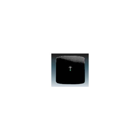 ABB 6220A-A01001 N Kryt 1násobný, symbol osvětlení, černá
