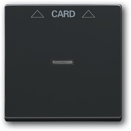 ABB 2CKA001710A3639 Kryt spínače kartového, s čirým průzorem, antracitová