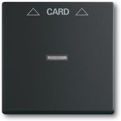 ABB 2CKA001710A3905 Kryt spínače kartového, s čirým průzorem, mechová černá