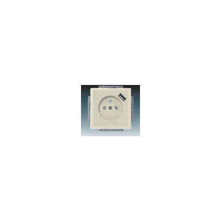 ABB 2CKA002017A0875 Zásuvka jednonásobná s ochranným kolíkem, s clonkami, s USB nabíjením, slonová kost