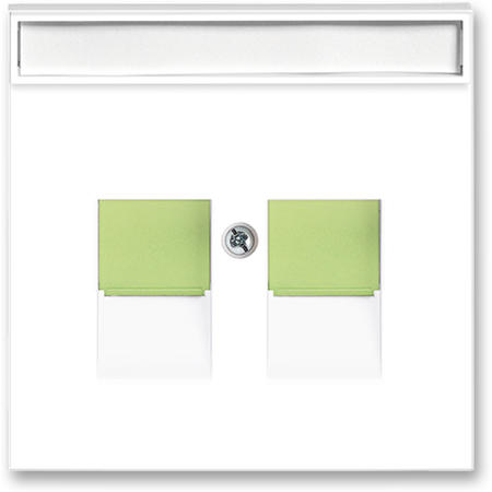 ABB 5014M-A11018 42 Kryt zásuvky komunikační, s krycími clonkami (pro 2 zásuvky), bílá/ledová zelená