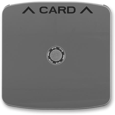 ABB 3559A-A00700 S2 Kryt spínače kartového, s čirým průzorem, kouřová šedá
