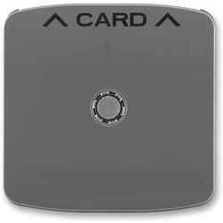 ABB 3559A-A00700 S2 Kryt spínače kartového, s čirým průzorem, kouřová šedá