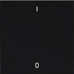 OBZOR DSE 00-01102-000000 Kryt jednoduchý se symbolem 0-1, antracitově černá