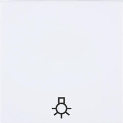 OBZOR DSE 00-01401-000000 Kryt jednoduchý se symbolem světla, sněhově bílý